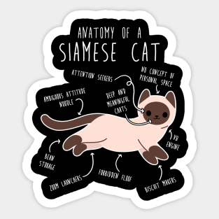 Siamese Cat Anatomy Sticker